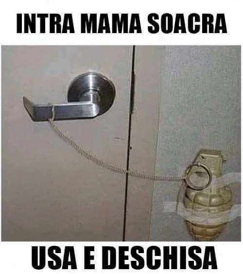 cum iti astepti soacra