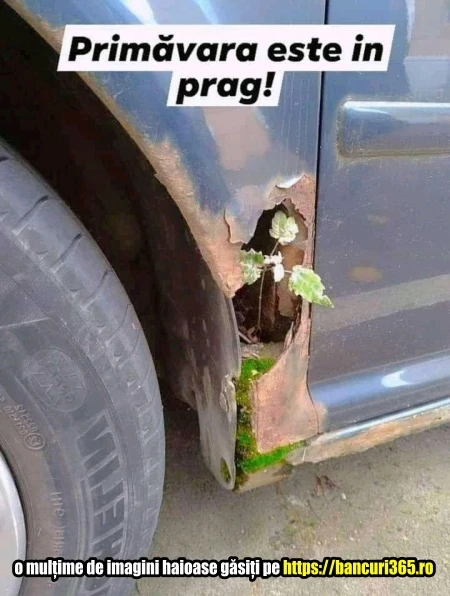 cum iti dai seama ca a venit primavara