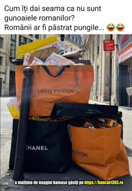 cum iti dai seama ca nu sunt gunoaiele romanilor