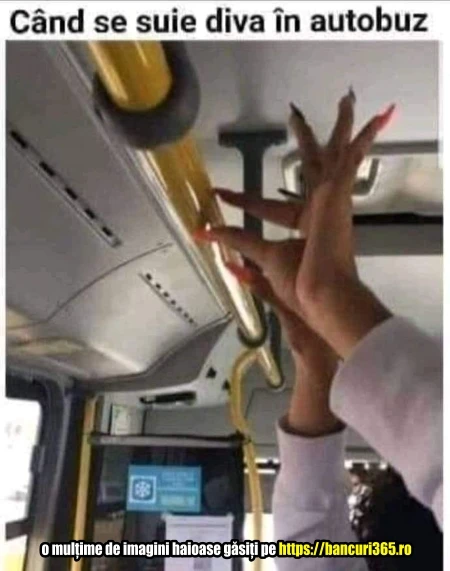 cum merge o diva in autobuz bancuri cu Bula