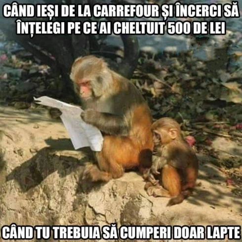 cum ramai cand vezi cate cumparaturi ai facut