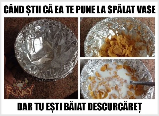 cum se descurca un barbat destept