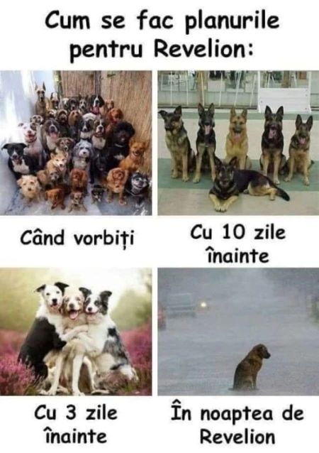 cum se fac planurile de Revelion 2021 bancuri