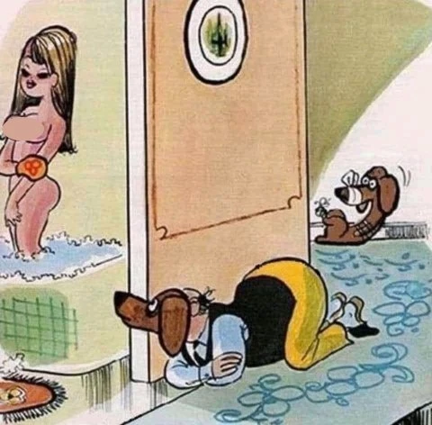 cum se uita un barbat la o femeie