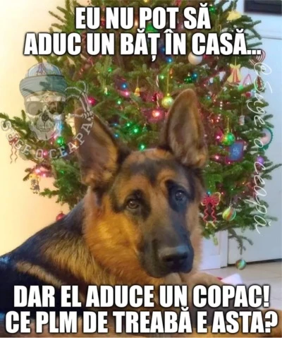 de ce este cainele revoltat