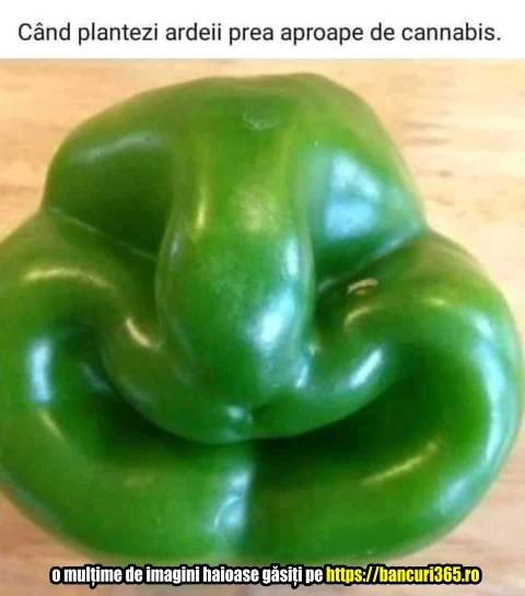 de ce este foarte fericit un ardei