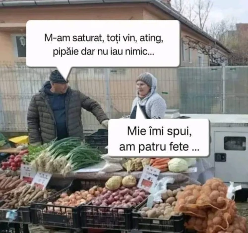de ce s au saturat niste tarani