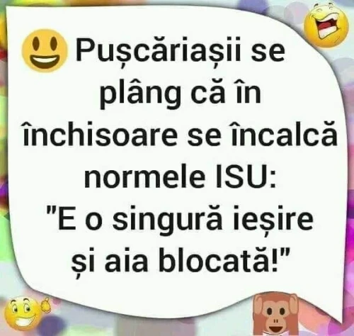 de ce se plang puscariasi de la noi