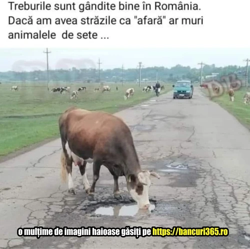 de ce sunt gropile din strazile din Romania