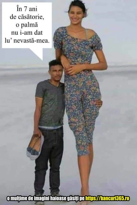 de ce un barbat s a purtat frumos cu necasta lui bancuri