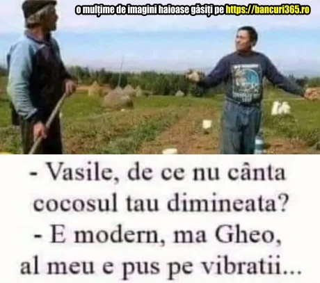 de ce un cocos nu canta dimineata