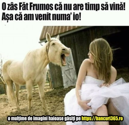 discutie intre Ileana Cosanzeaza si calul lui Fat Frumos