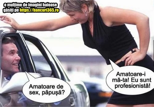discutie intre un sofer si o profesionista