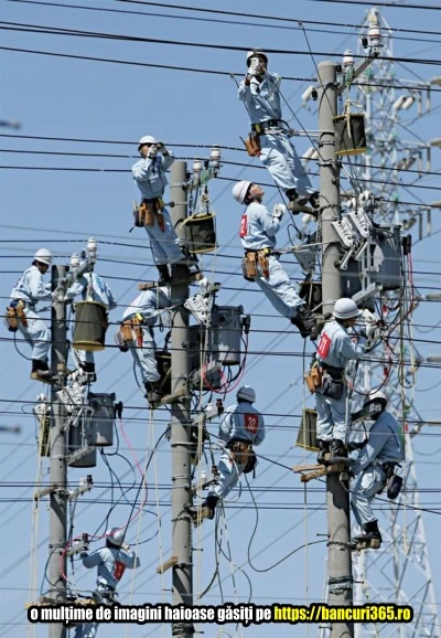 echipa lui Dorel la lucru