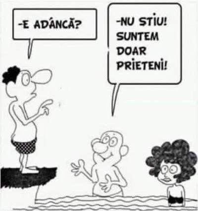 fiecare intelege ce vrea