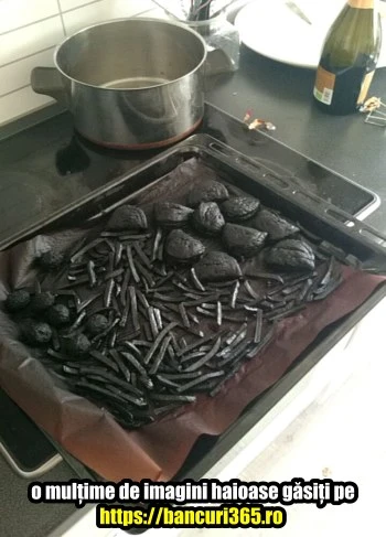 imagini amuzante Dorel in bucatarie 4