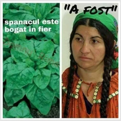 in ce este bogat spanacul
