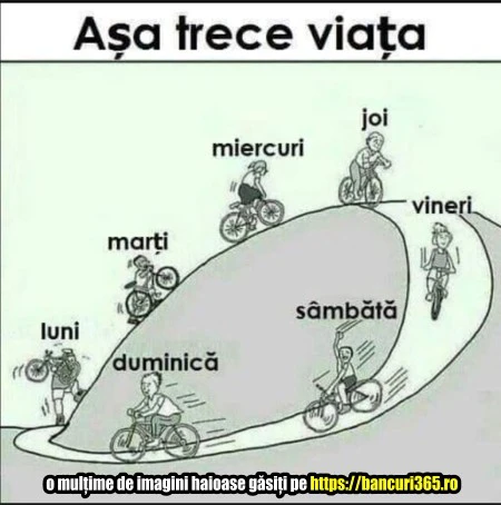 in ce mod trece viata