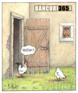 la Ce se uita cocosul