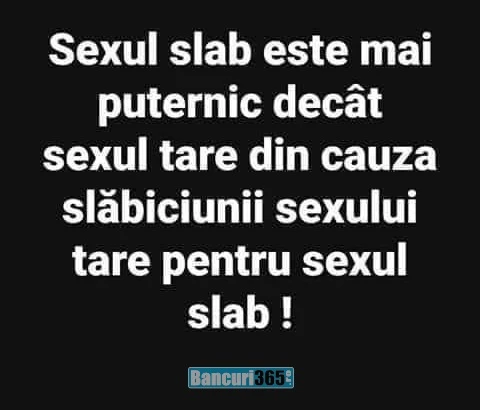 maxima zilei 3 octombrie