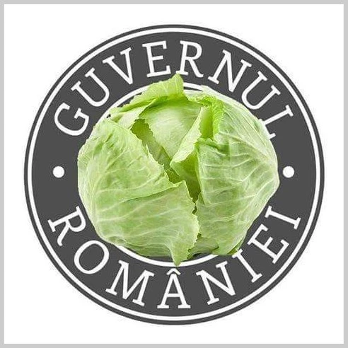 noua sigla a guvernului Romaniei