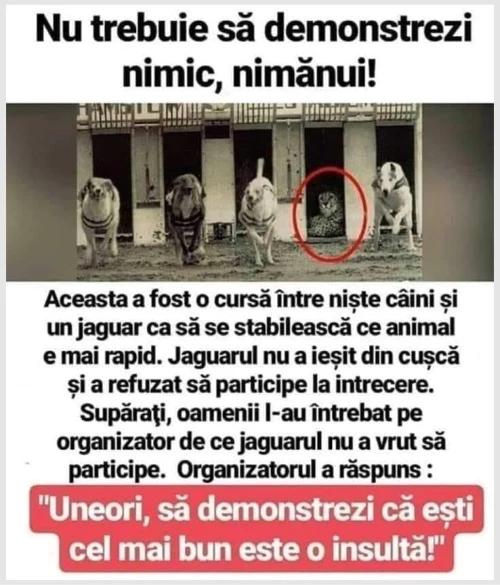 nu trebuie sa demonstrezi nimic nimanui