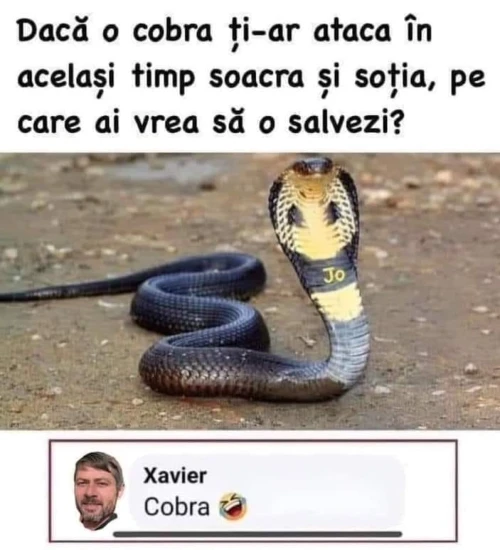 pe cine ar salva un barbat de sarpe