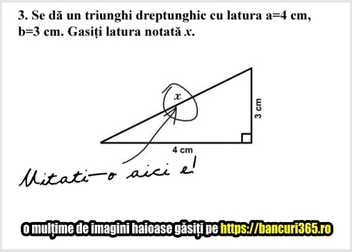 rezolvare problema matematica