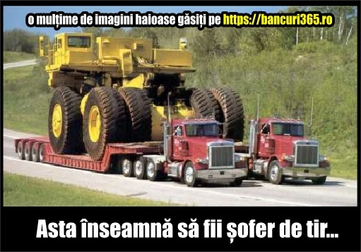 soferi de tir cara un monstru