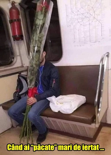 un buchet de flori pentru iubita