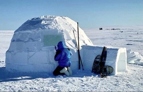 un iglu la pol